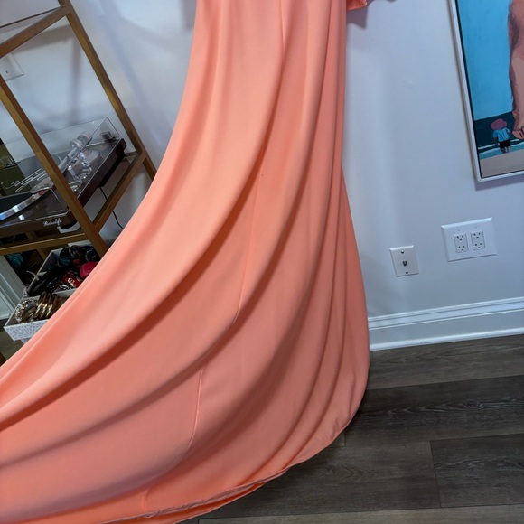 Vintage A-line Dress with Sheer Panel and Rosette - Picture 6 of 8